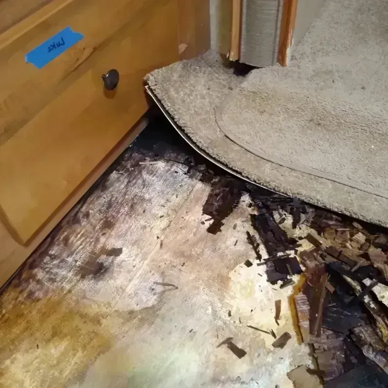 Best Wood Floor Water Damage Service in Haviland, NY